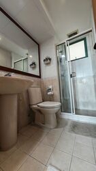 Palm Gardens (D23), Condominium #539236971
